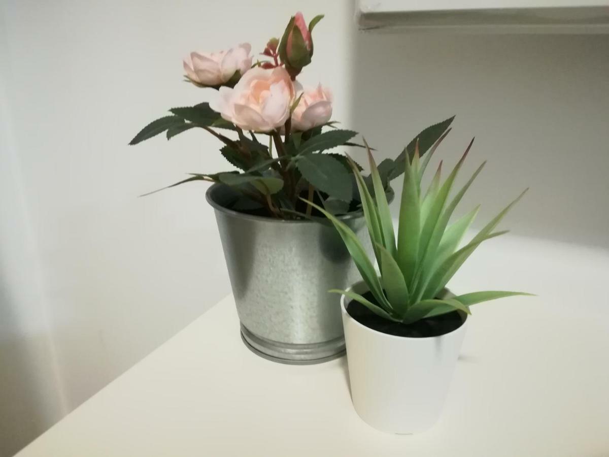 Iris Apartment 庞巴尔 外观 照片